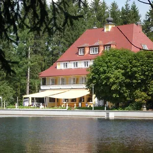 Waldsee Lindenberg im Allgau
